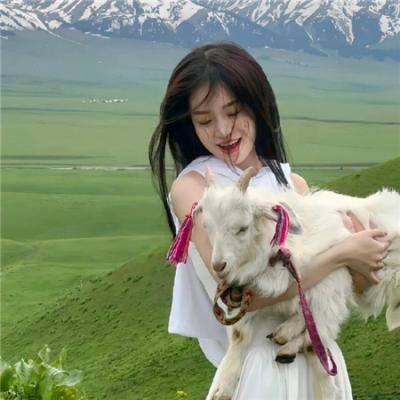 怪盗山猫在线观看