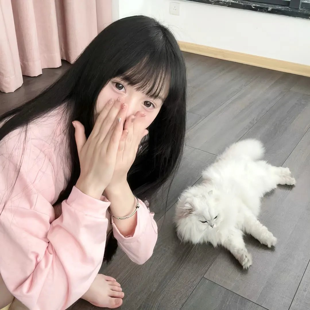 圩堡枪声在线观看