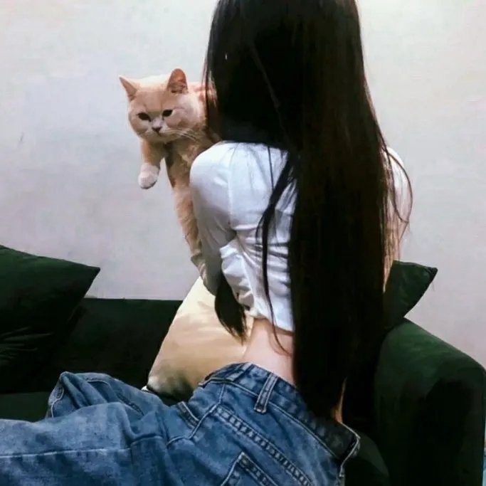 婚礼在线观看